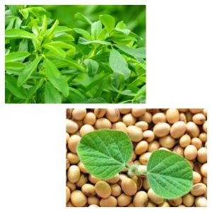 مزایای کشت سویا و‌ یونجه برای زمین زراعی