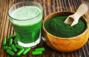 کاربرد جلبک ها در زندگی