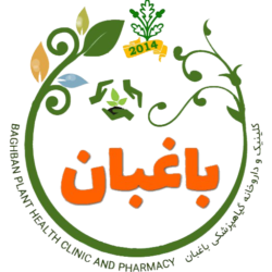 عنوان برند