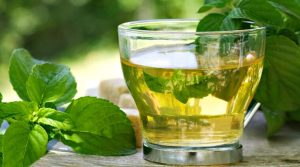کاهش خطر ابتلا به آلزایمر با نوشیدن چای سبز؛ چرا و چگونه این اتفاق روی می دهد؟