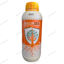 باسیروت (1 لیتری)
